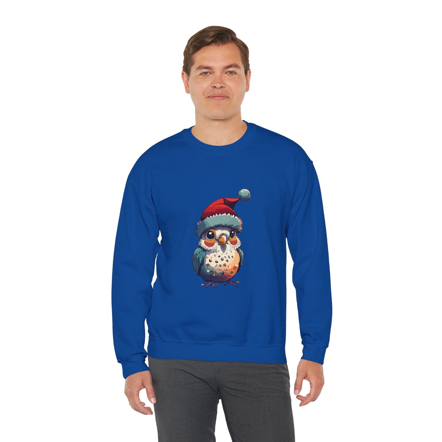Cute bird Christmas sweatshirt, Animal Lover Gift sweatshirt For Christmas,Christmas sweatshirt For Bird Owner, Merry birdmas